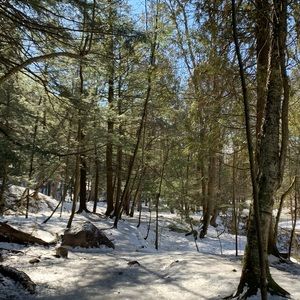 Meet your Posher, Shannon